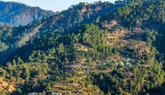 Dehradun to Ranikhet Cab